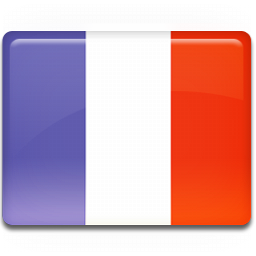 France_Flag_icon_1.png